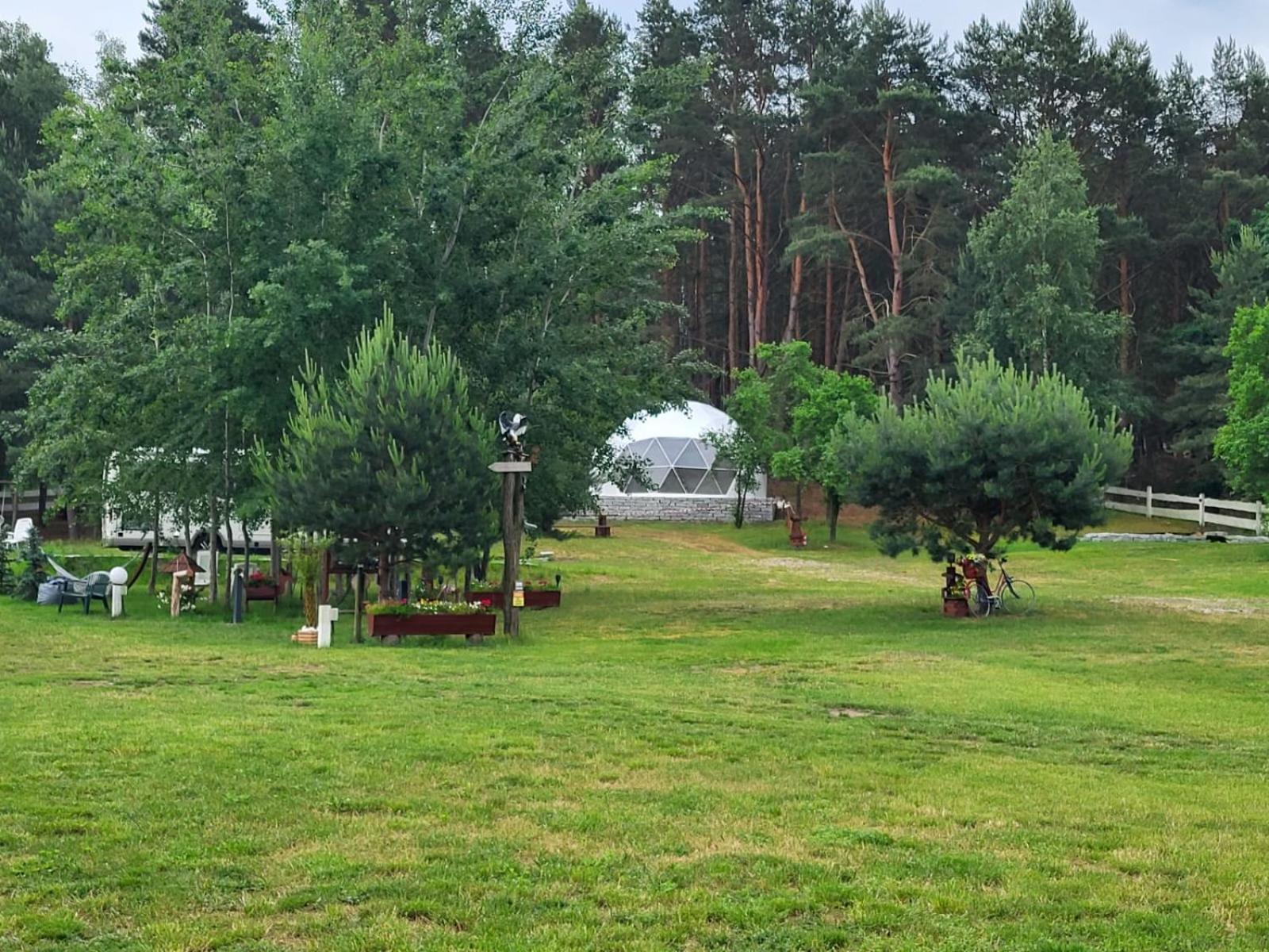 Hotel Glamping Pod Orlem Cedynia Exteriér fotografie