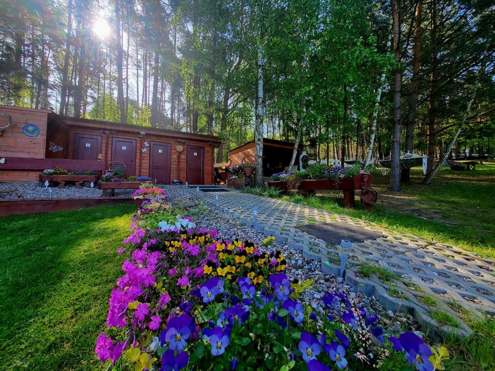 Hotel Glamping Pod Orlem Cedynia Exteriér fotografie