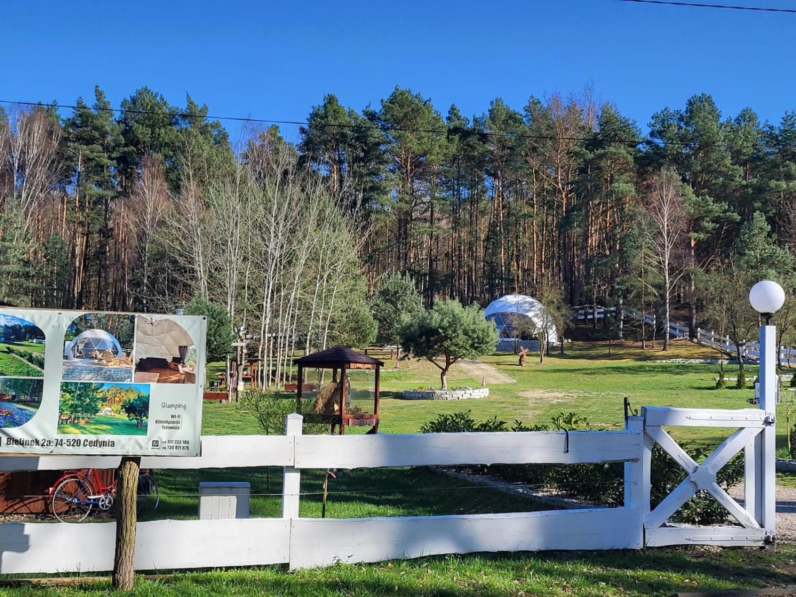 Hotel Glamping Pod Orlem Cedynia Exteriér fotografie
