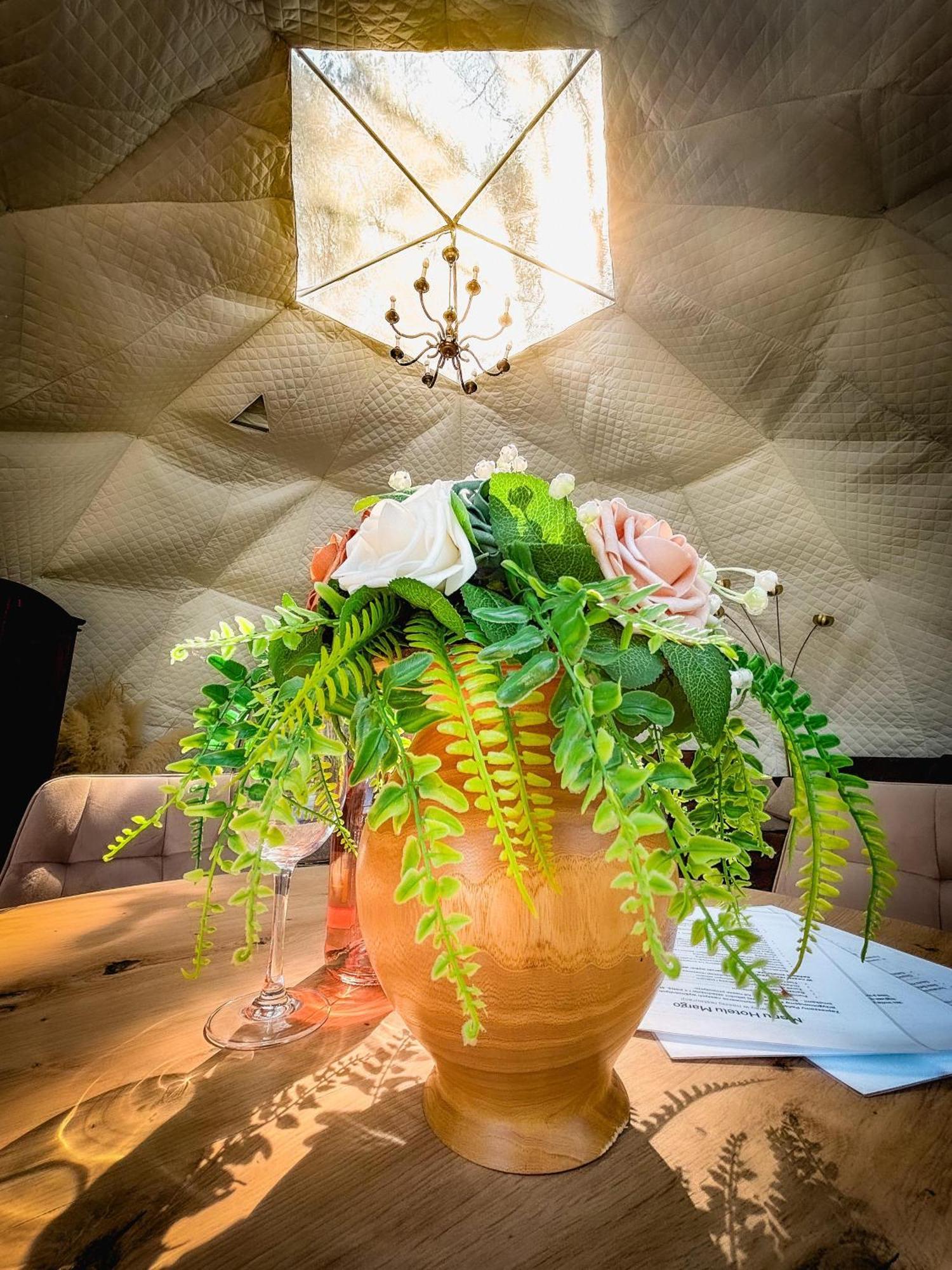 Hotel Glamping Pod Orlem Cedynia Exteriér fotografie