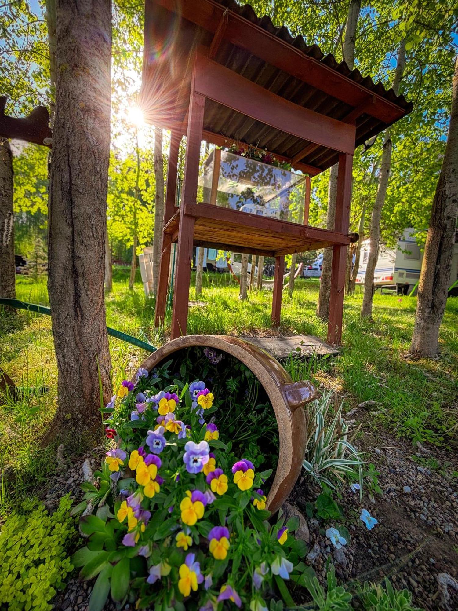 Hotel Glamping Pod Orlem Cedynia Exteriér fotografie
