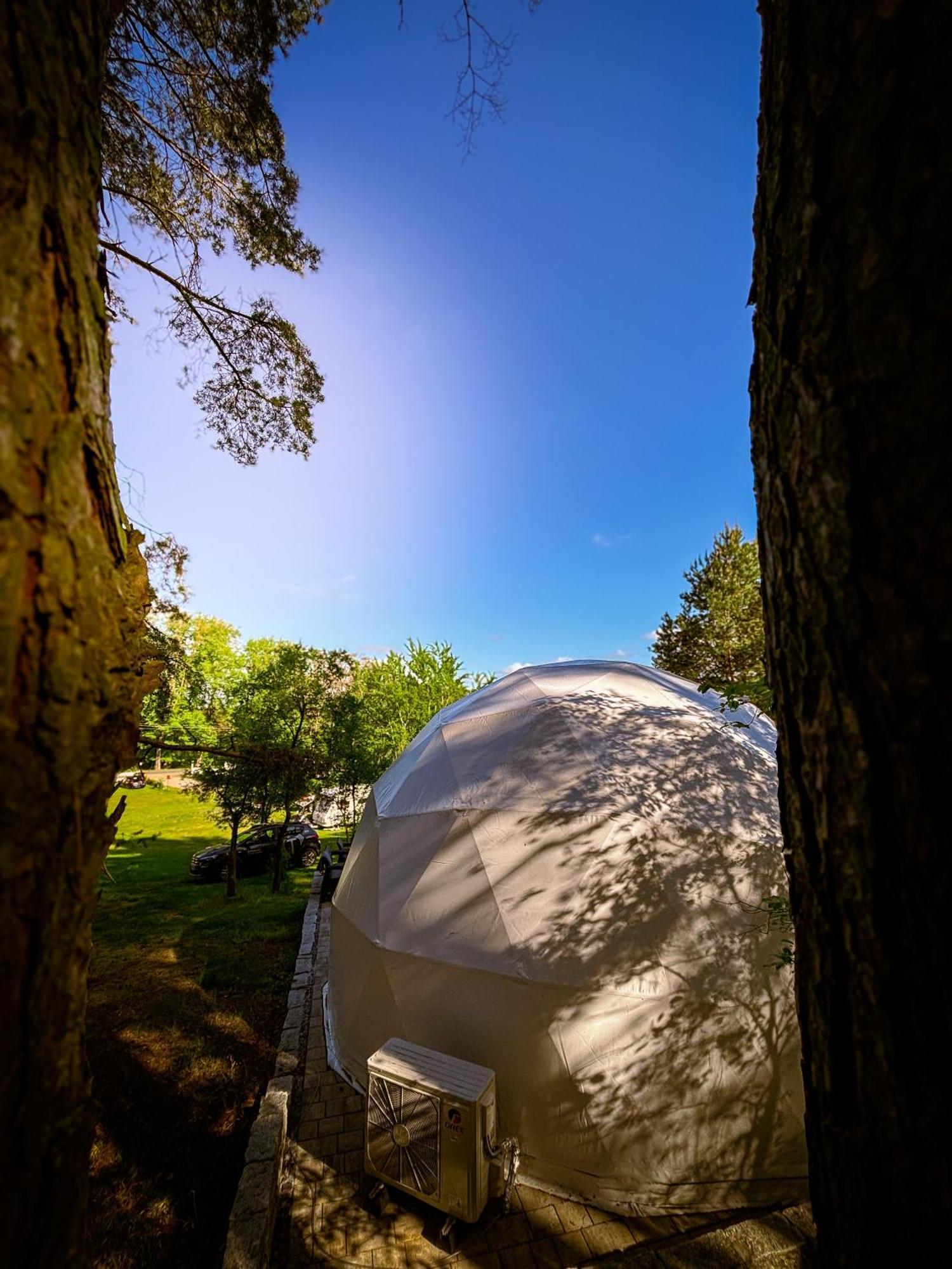 Hotel Glamping Pod Orlem Cedynia Exteriér fotografie